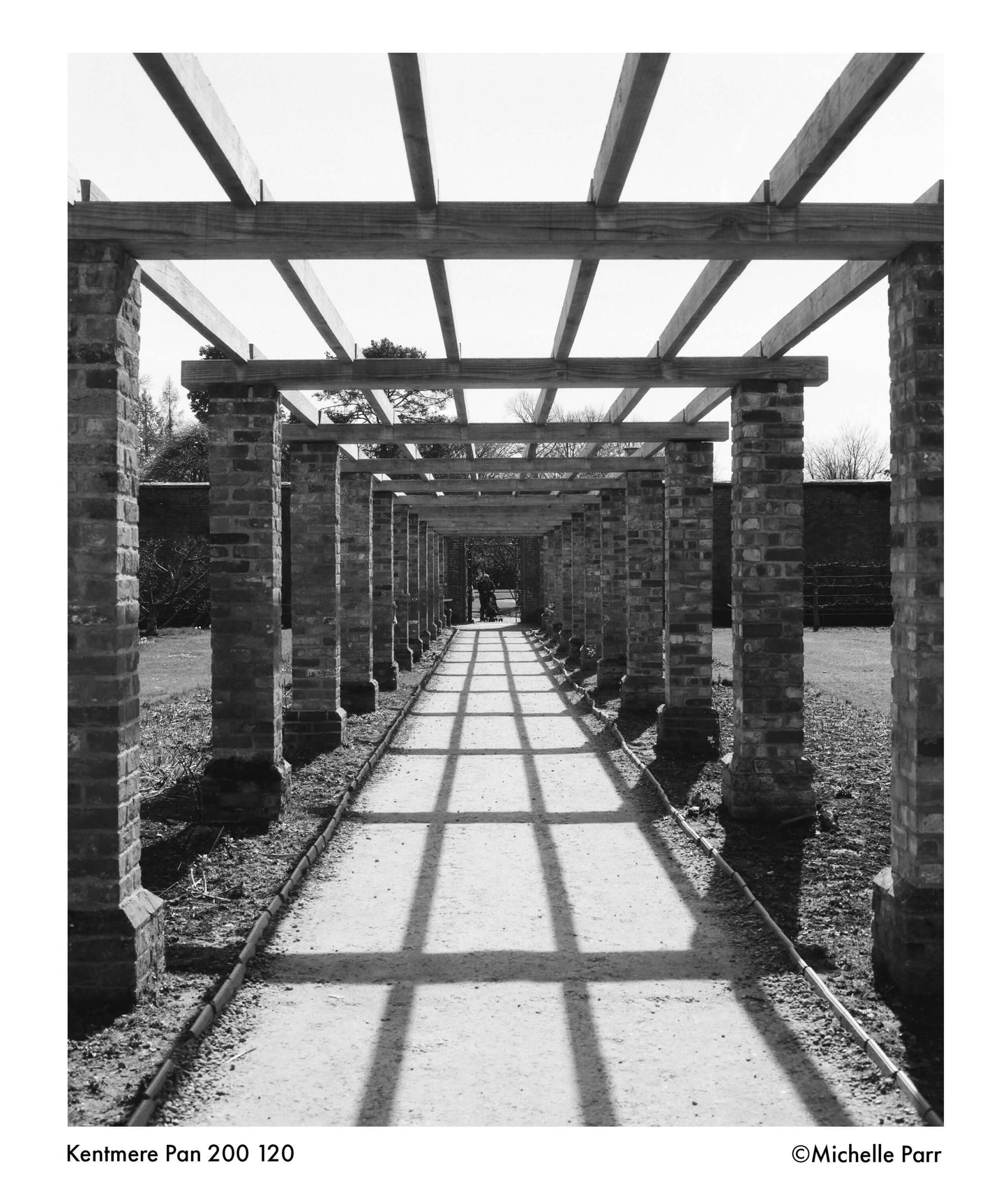Black and white photograph of a garden walkway with shadow patterns, captured on Kentmere Pan 200 120 film.