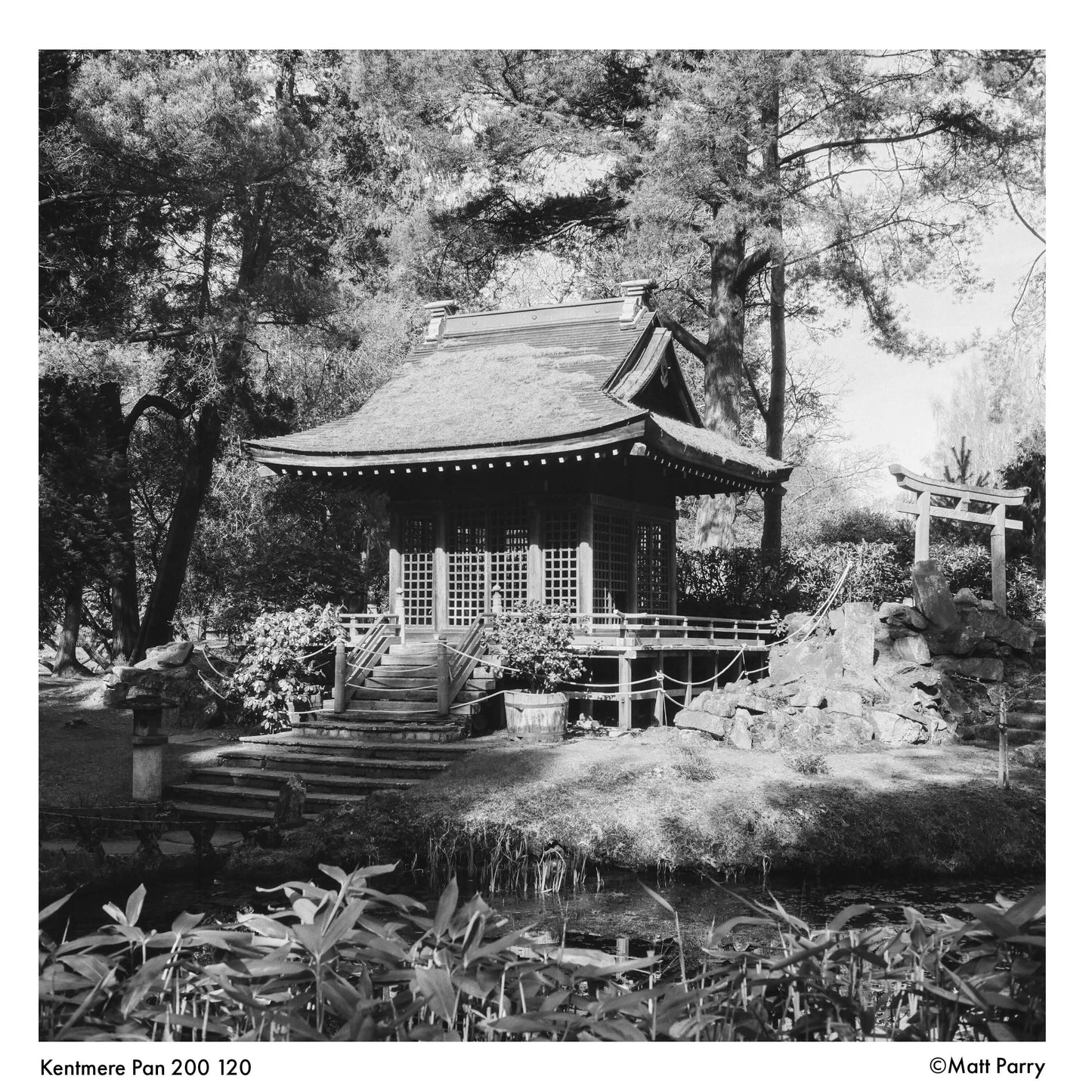 Black and white image of a serene garden pavilion shot on Kentmere Pan 200 120 film, showcasing fine grain and sharp contrast.