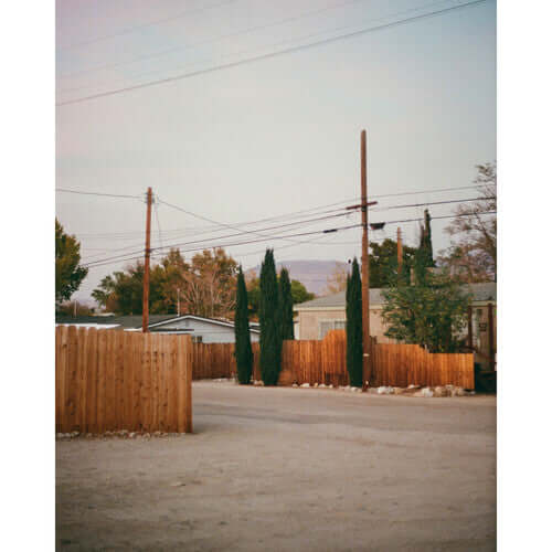 Residential landscape with wooden fence, tall trees, and power lines at sunset.