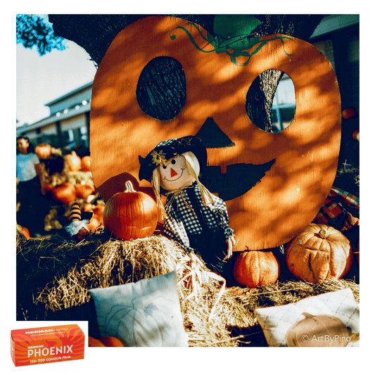 Halloween display with pumpkins and scarecrow, shot on Harman Phoenix 200 film, showcasing vibrant color and analog charm.