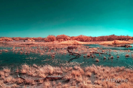 Estero Llano Grande State Park