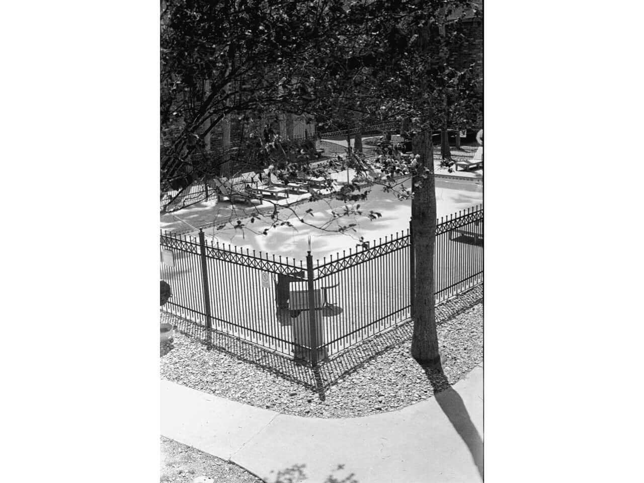 Fenced outdoor pool area surrounded by trees on a sunny day