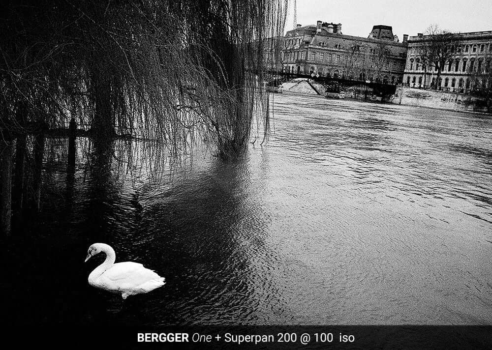 Black and white photo of a swan in a river with BERGGER ONE and Superpan 200 film shot at 100 ISO, showcasing film development quality.