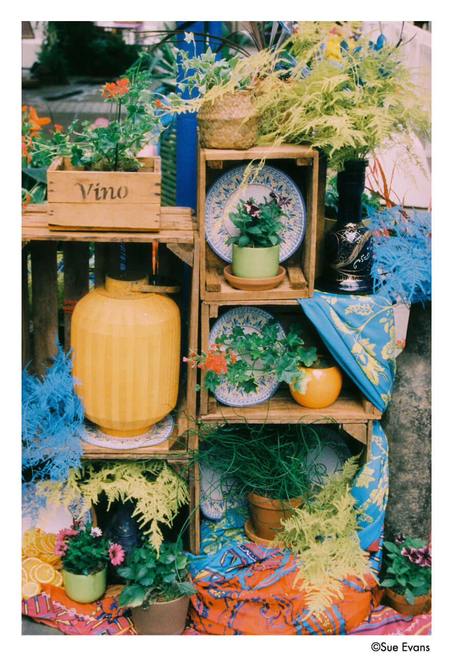 Harman Phoenix II 200 ISO Color 35mm Film 36 Exp 04/2027