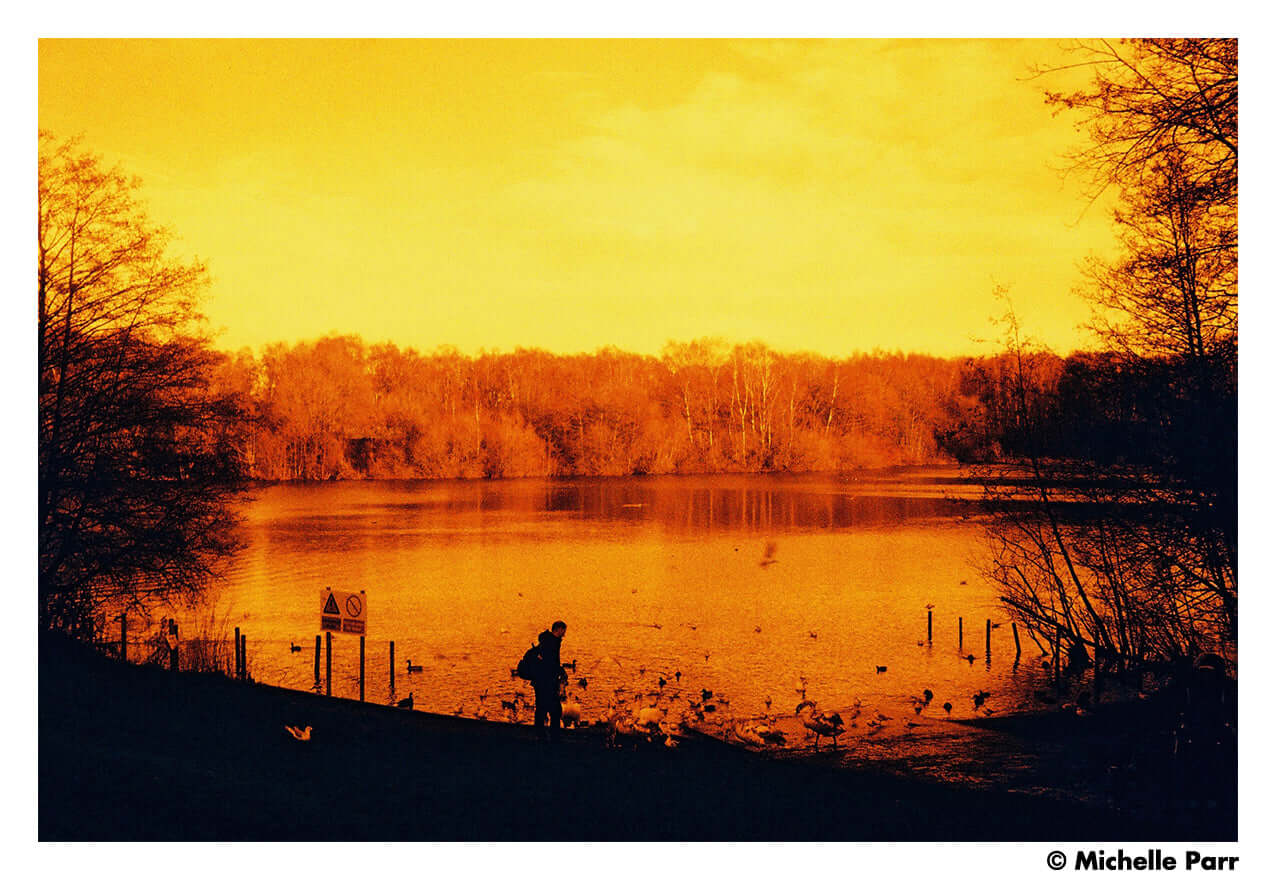 Golden-hued landscape with a silhouette of a person by a lake surrounded by trees during sunset.