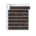 Print file 30-frame film strip organizer with six rows of dark, perforated negatives in a white binder page.