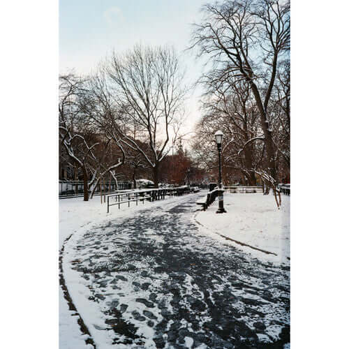 Snow-covered pathway in a winter park with bare trees and lampposts under a clear sky.
