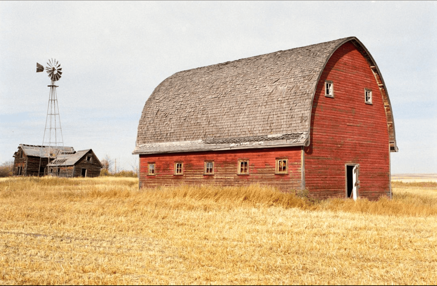 Red barn and windmill in a golden wheat field on a clear day.