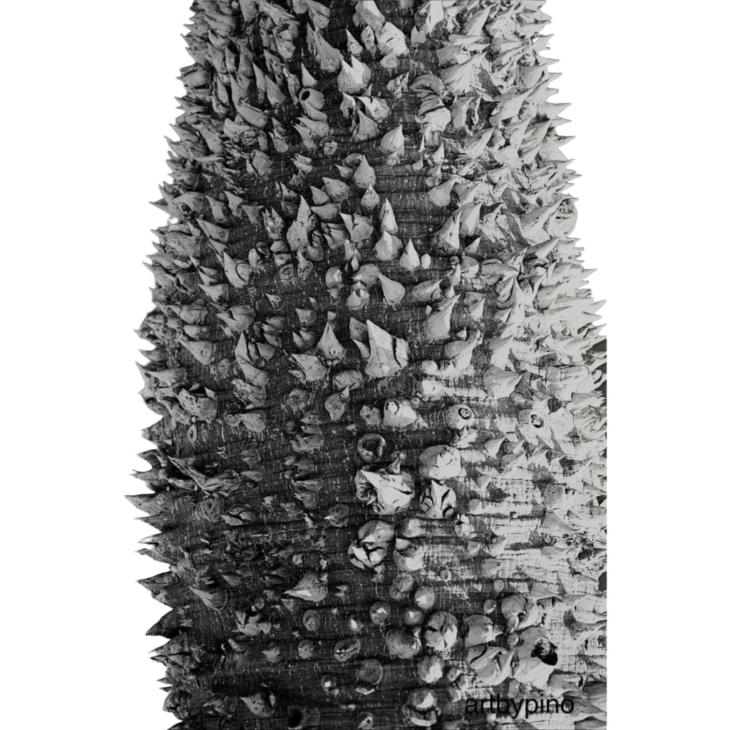 A black-and-white close-up of a tree trunk covered in dense, sharp spines.