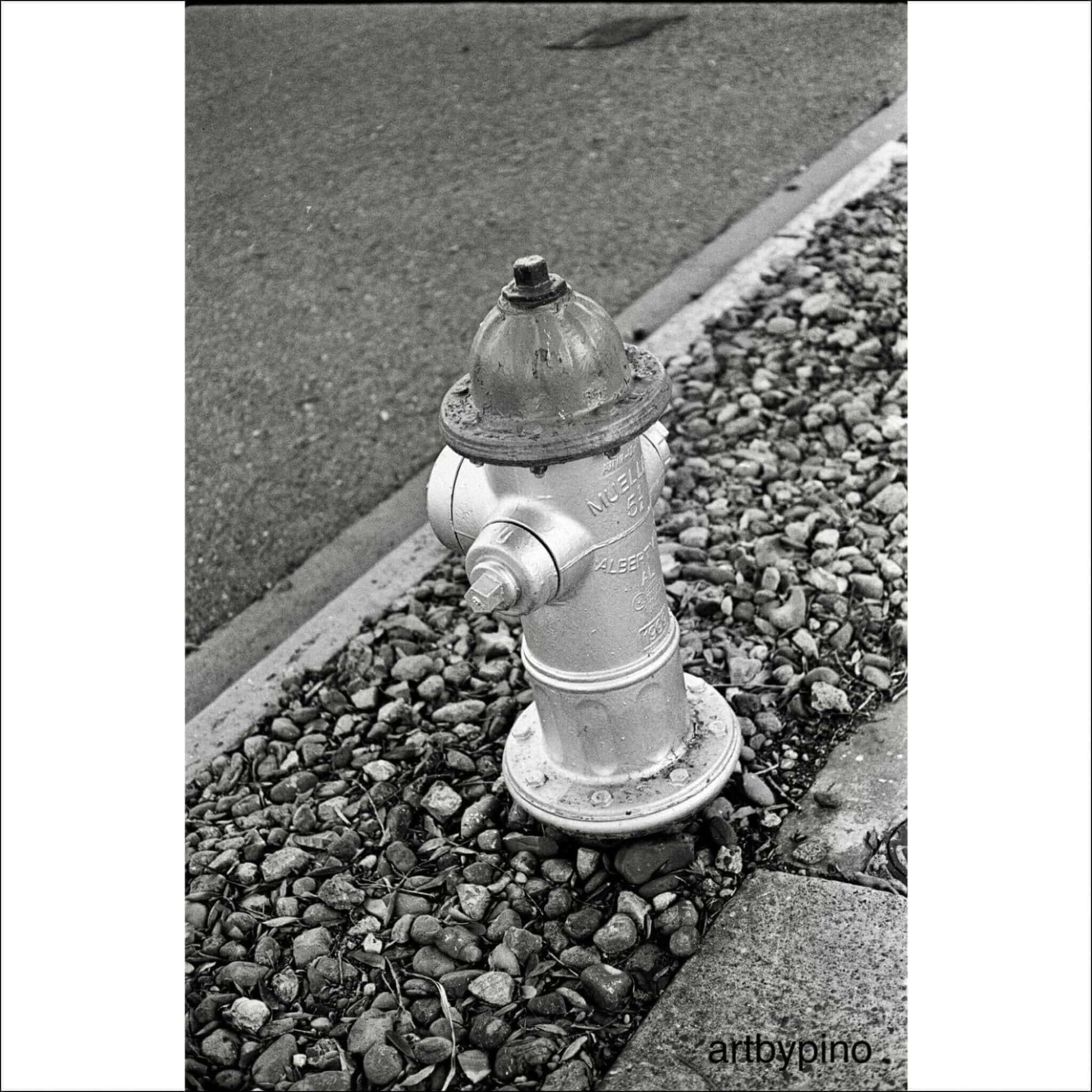 Black and white photograph of a fire hydrant on a pebble-strewn roadside by artbypino